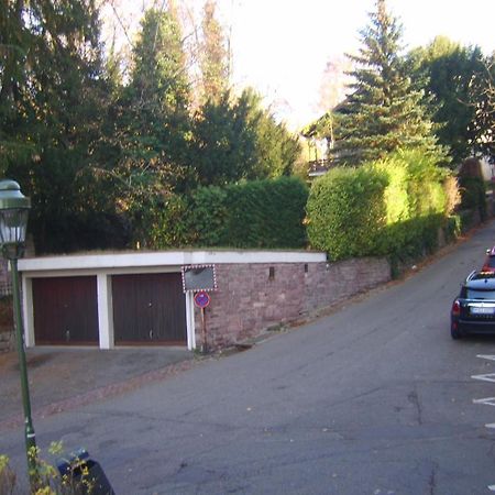 Garden Apartment Baden-Baden Exterior foto